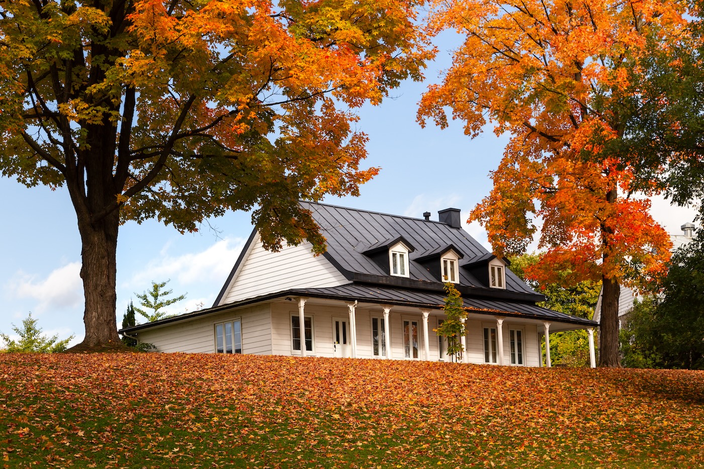 metal seam roofing comparison
