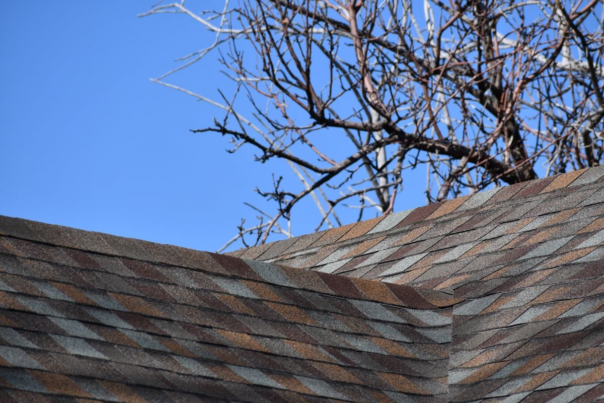 3 tab vs architectural shingles multicolor roof