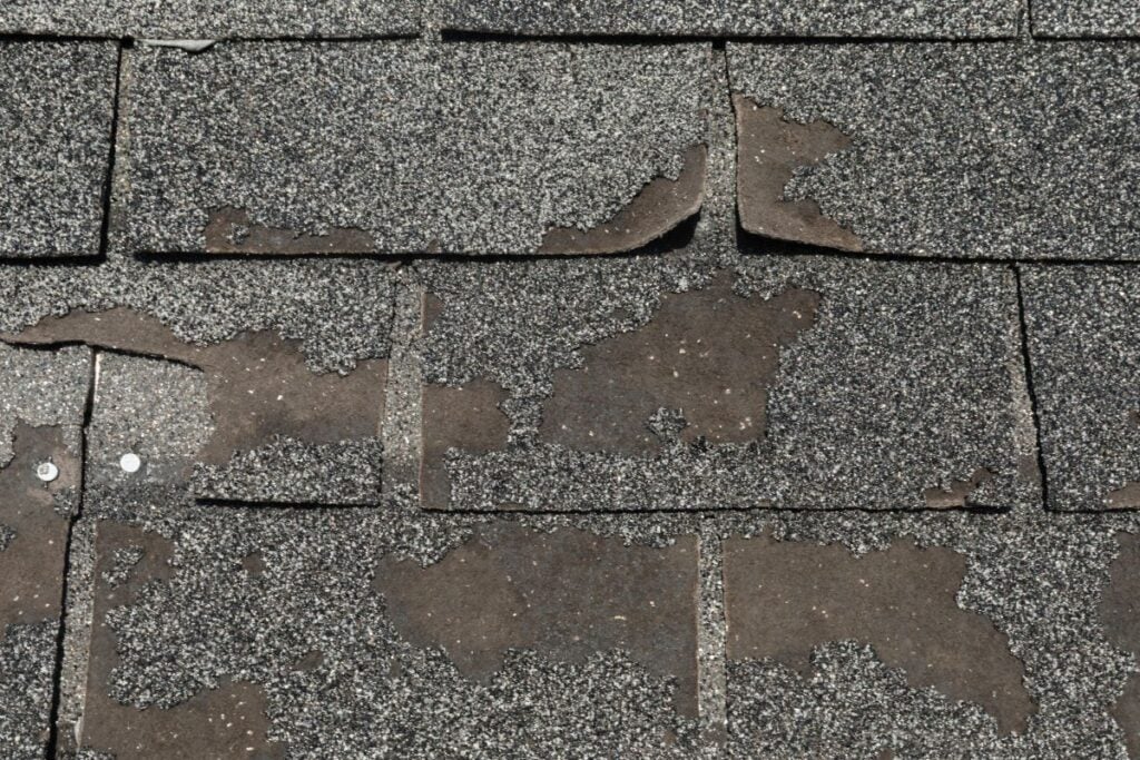 shingle roof repair granule loss close up